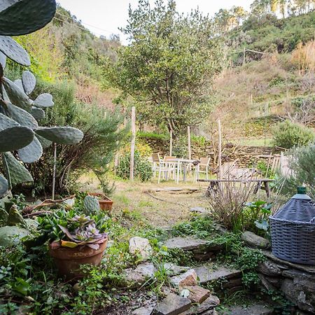 Il Limoneto Dei Cinque Sensi,Apartment With Garden Vernazza Exterior foto