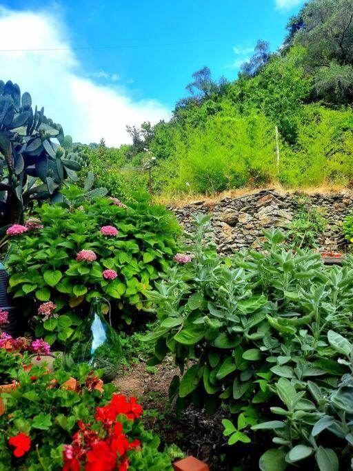 Il Limoneto Dei Cinque Sensi,Apartment With Garden Vernazza Exterior foto