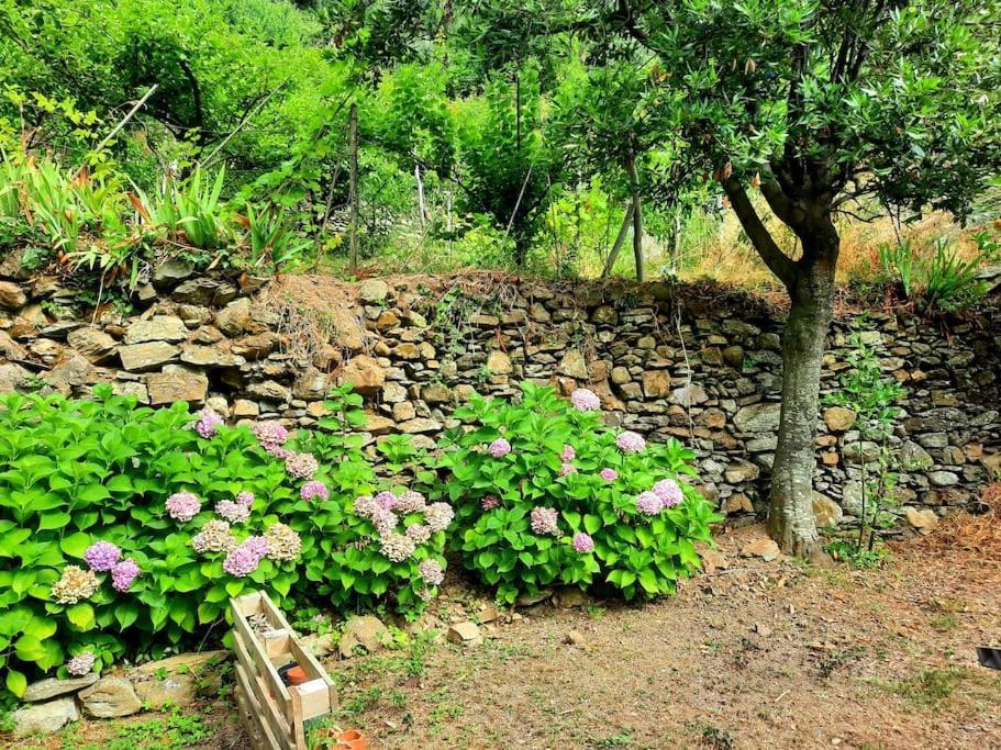 Il Limoneto Dei Cinque Sensi,Apartment With Garden Vernazza Exterior foto
