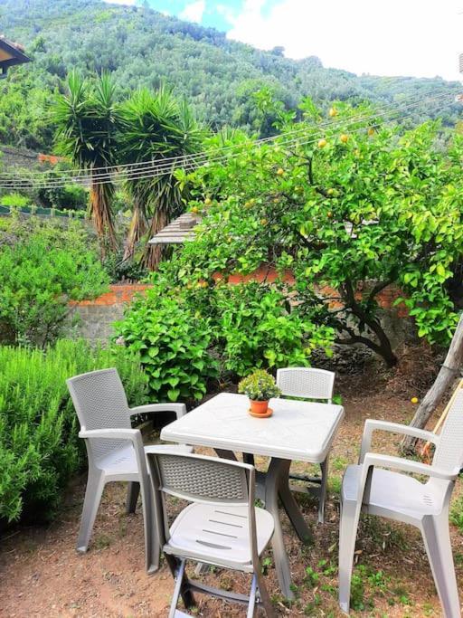 Il Limoneto Dei Cinque Sensi,Apartment With Garden Vernazza Exterior foto